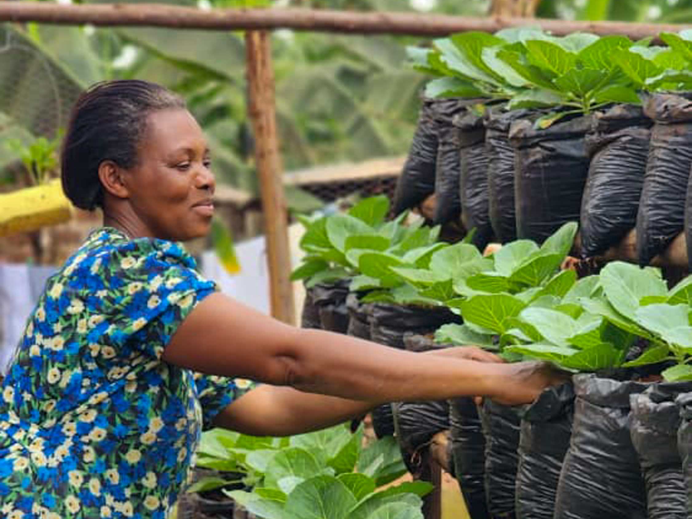 Children’s Hunger Fund works with Mercy Network pastors on four continents to establish cottage industries and self-sustaining projects.
