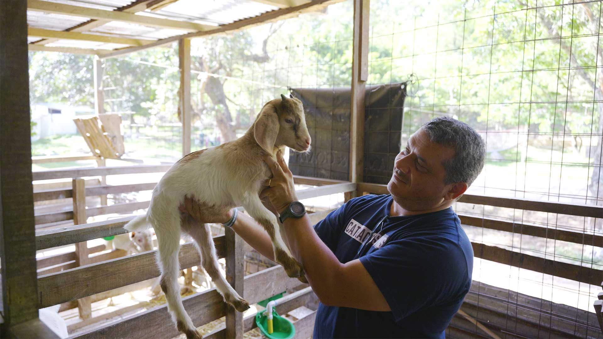 Paul and Tania received a donation from Children’s Hunger Fund: four goats. The purpose was simply to support their family and help other pastors as they were able. There was no expectation of what would come next.
